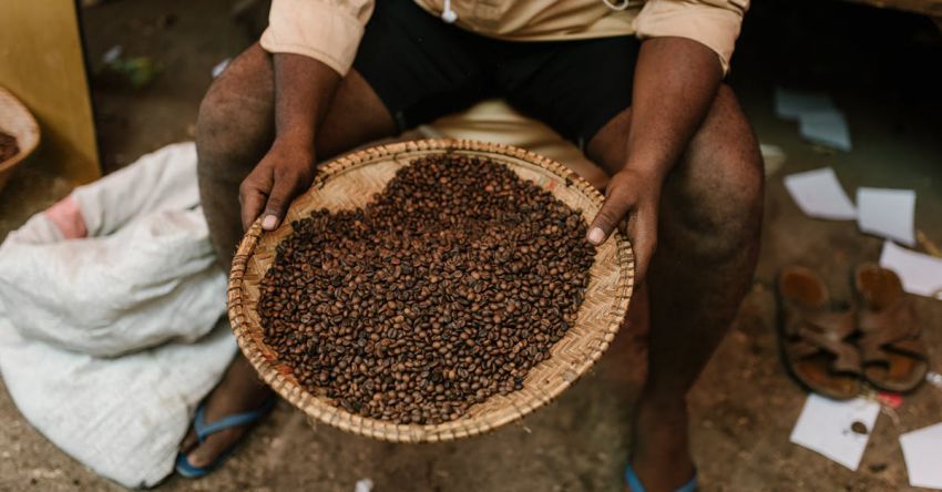 Fair Trade Coffee - Crop ethnic person with coffee beans on plate