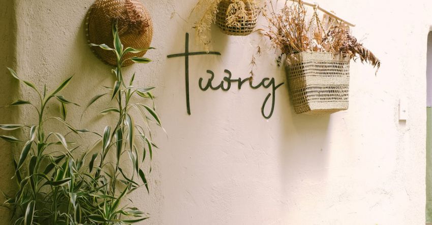 Table Plants - Free stock photo of cafe interior, coffee art, indoor